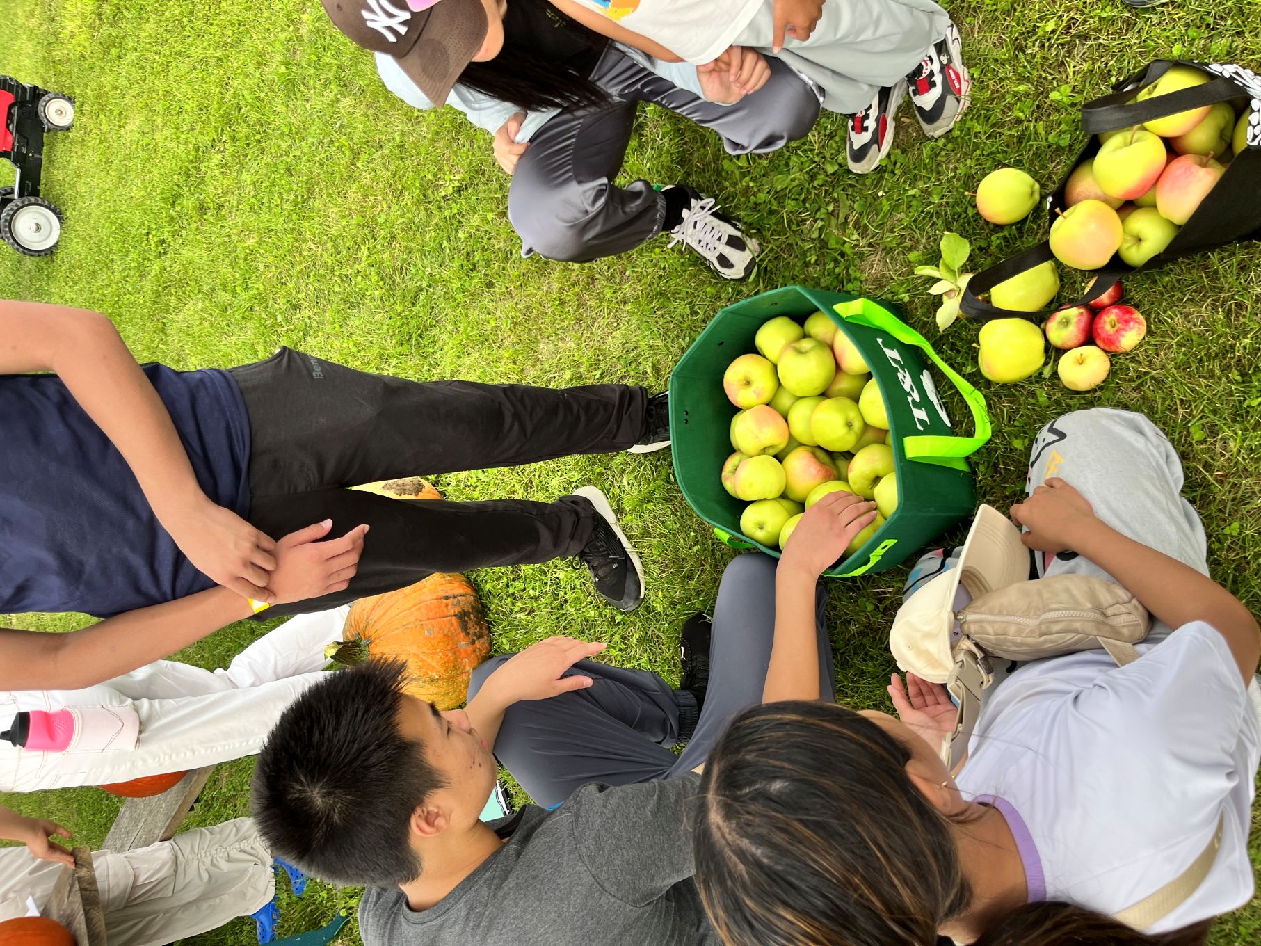 Counting apples